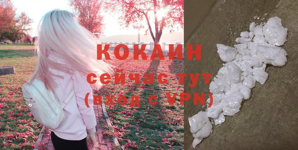 сатива Михайловка