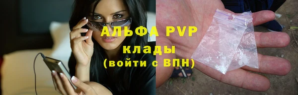 сатива Михайловка