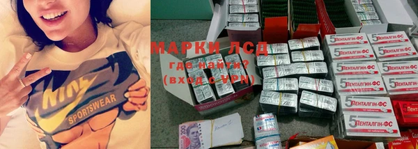 крисы Медвежьегорск