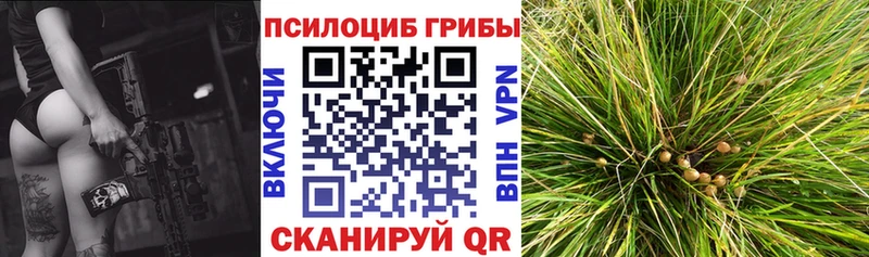 Галлюциногенные грибы Psilocybe  Иланский 